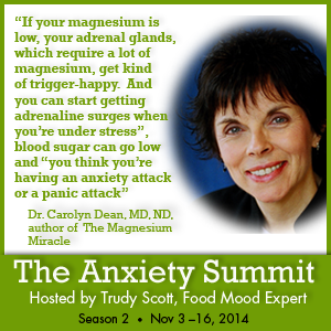 Dr. Carolyn Dean, MD, ND, author of The Magnesium Miracle was interviewed by host of the Anxiety Summit, Trudy Scott, Food Mood Expert and Nutritionist, ... - Dr.-Carolyn-DeanQuote_Anxiety2