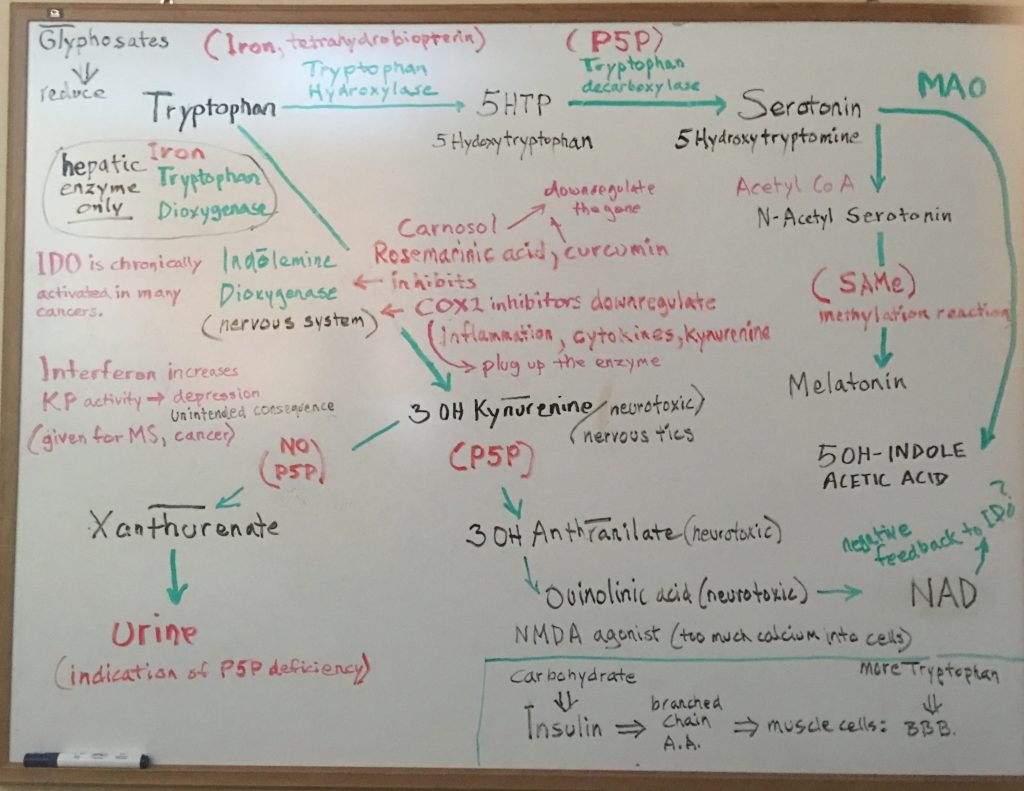 The Anxiety Summit - Tryptophan for anxiety, depression and insomnia ...