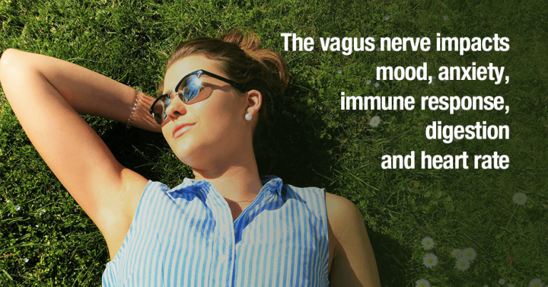 The vagus nerve impacts mood, anxiety, immune response, digestion and