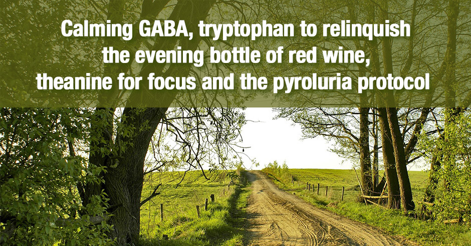 gaba tryptophan theanine